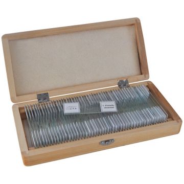 Portaobjetos con muestras BRESSER Caja de 50 piezas