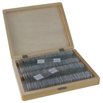 Portaobjetos con muestras BRESSER Caja de 100 piezas