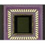 [AM4515ZTL] Dino-Lite Microscopio Digital (USB 2, 1.3MP) AMR / POL - 10-140x thumbnail