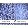 [AM7515MT1A] Dino-Lite EDGE Microscopio Digital (USB 2, 5MP) AMR / luz coaxial - 70-140x thumbnail