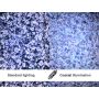 [AM7515MT1A] Dino-Lite EDGE Microscopio Digital (USB 2, 5MP) AMR / luz coaxial - 70-140x thumbnail