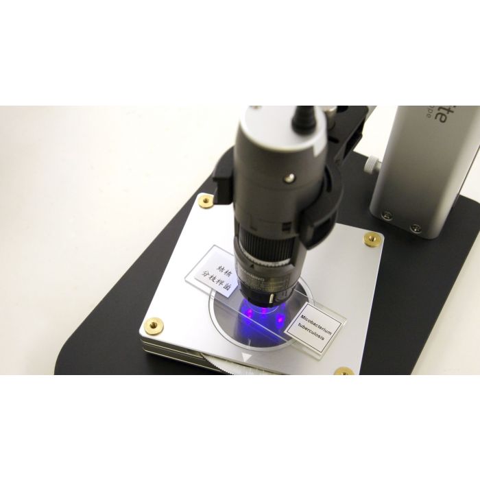 [AM4115-FVT] Dino-Lite Microscopio Digital (USB 2, 1.3MP) UV LED 400nm) - 20-220x