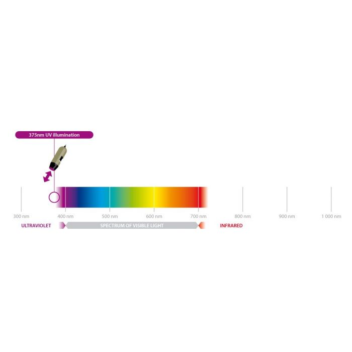 [AM4115-FVT] Dino-Lite Microscopio Digital (USB 2, 1.3MP) UV LED 400nm) - 20-220x