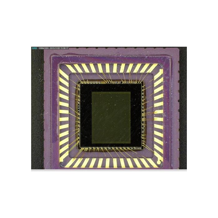 [AM4515ZTL] Dino-Lite Microscopio Digital (USB 2, 1.3MP) AMR / POL - 10-140x