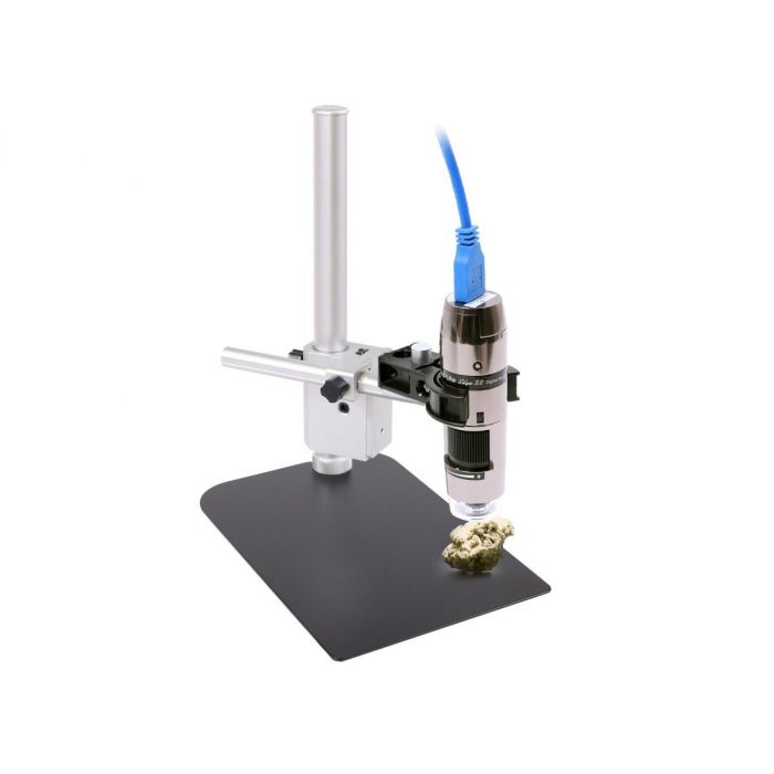 [AM73515MT8A] Dino-Lie (UBS 3, 5MP) AMR / FLC / luz coaxial / High Mag -700-900x